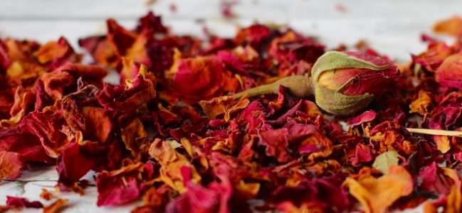 Pascale GLEPIN  Praticienne en Santé Naturelle – Naturopathe